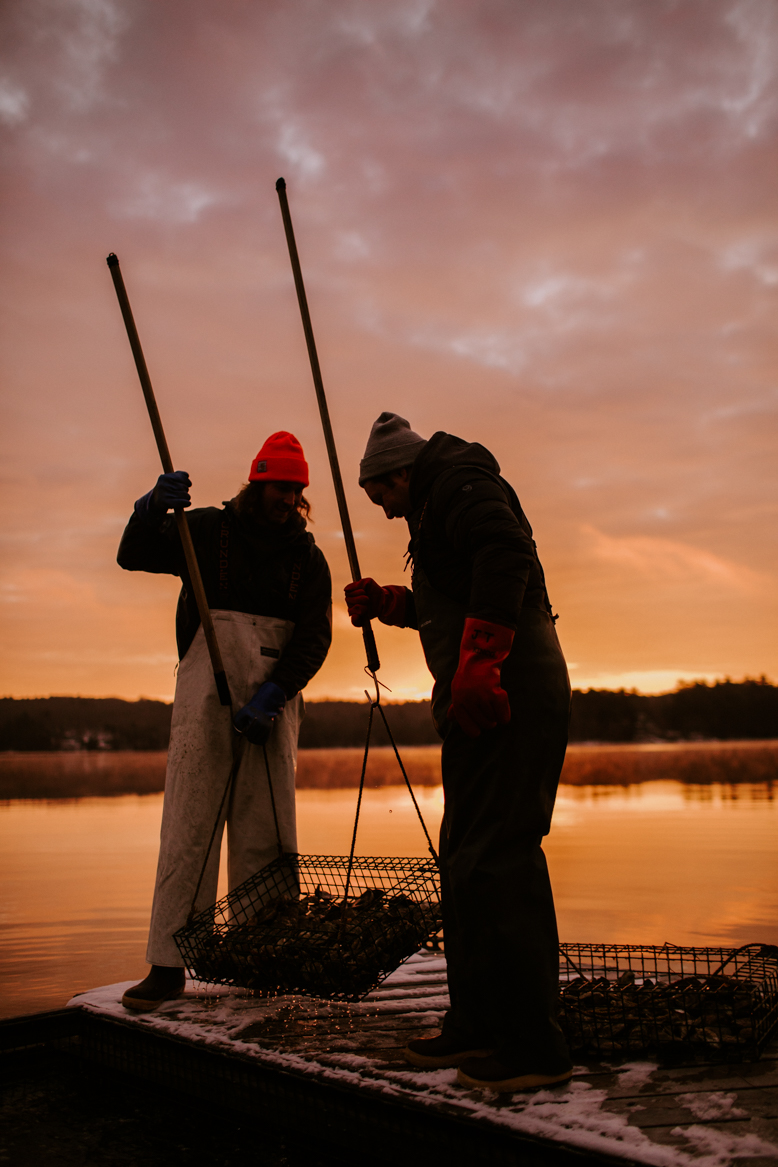 oysterfarmsmaekrieggliddenpt